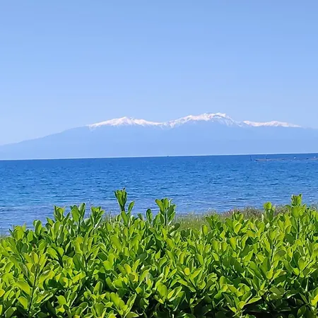 Seaside 2 אפאנומי